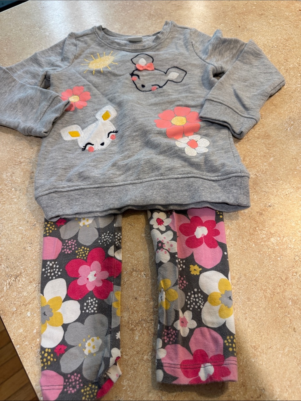 Gymboree Gray Floral Mouse Set with Pink & Yellow Accents